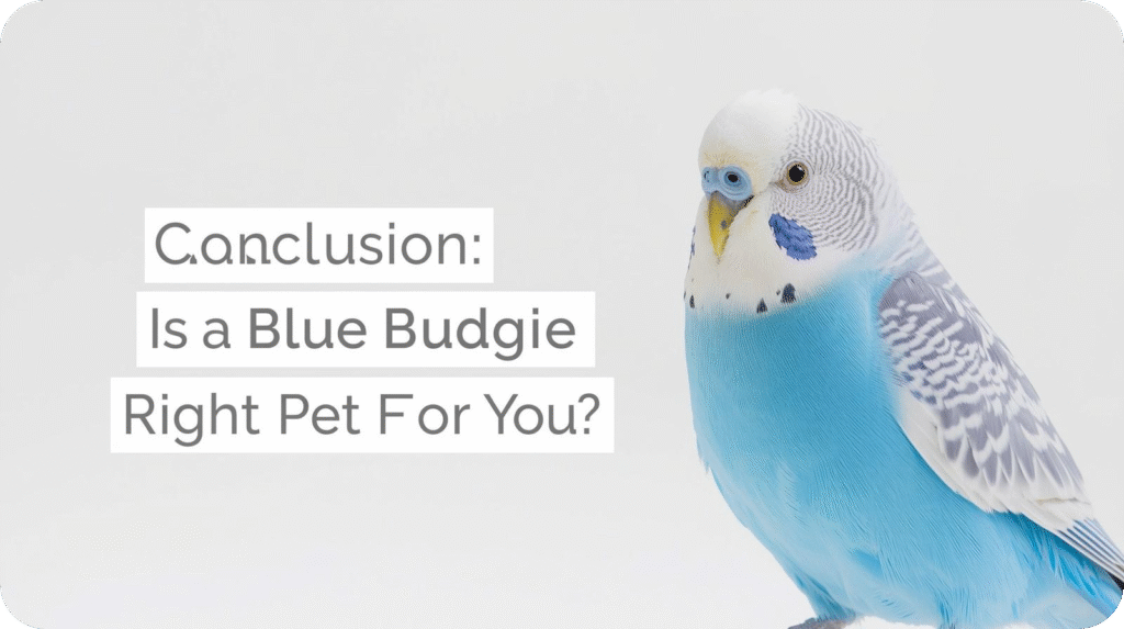 Blue Budgie perched calmly on its owner’s hand, representing the decision of choosing a blue parakeet as a friendly, loving pet.