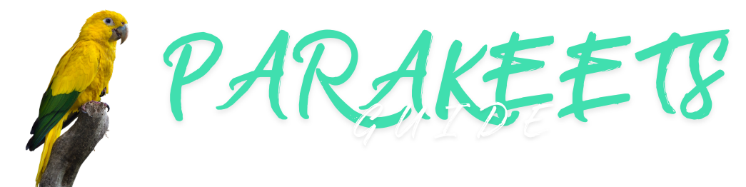 parakeetsguide.com