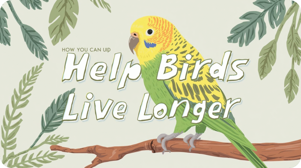 Person feeding a small bird in their backyard, representing simple ways people can support bird health, safety, and longer lifespans.