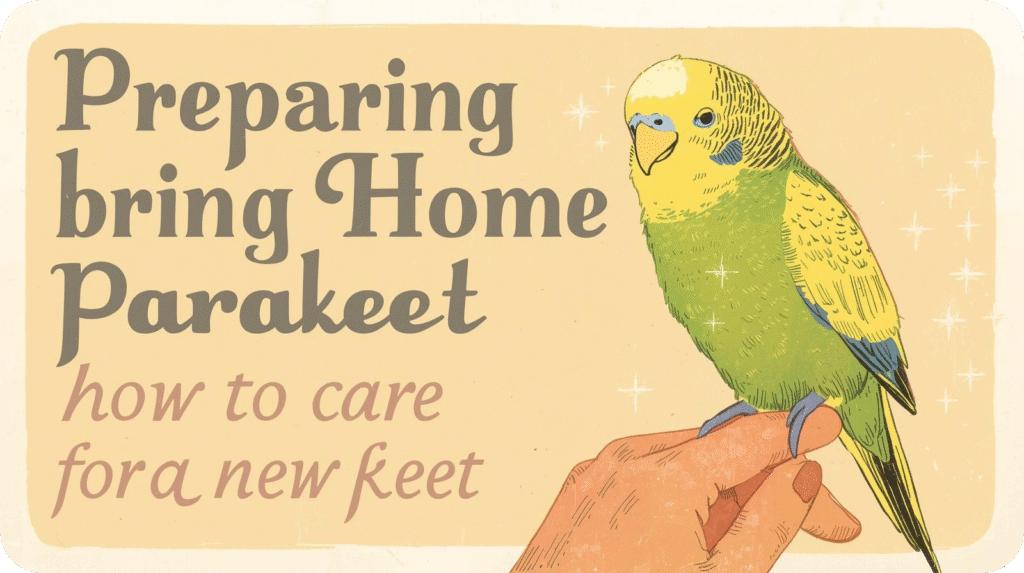 A colorful parakeet inside a clean, well-equipped cage with food, water, and toys — showing how to care for a parakeet when preparing to bring it home.