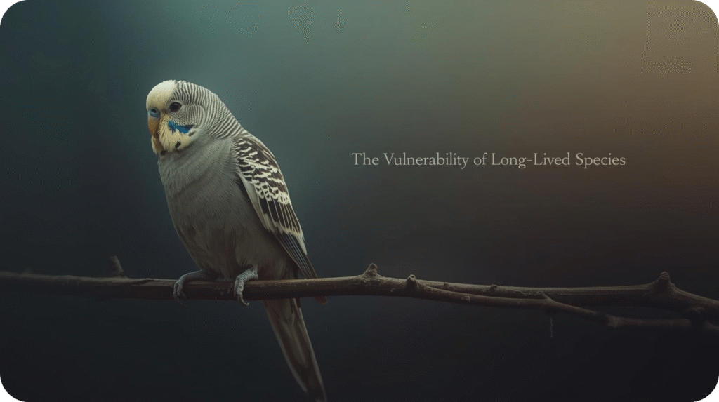 Elderly wild bird resting on a branch, representing the challenges and environmental threats faced by long-lived bird species.