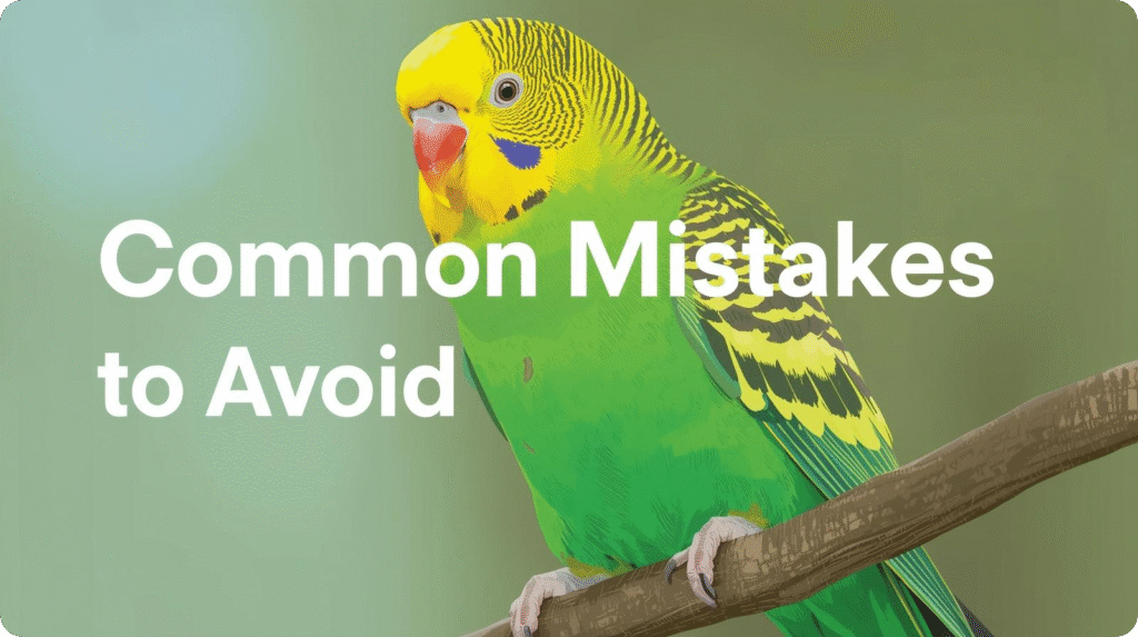 Quaker parrot perched on a branch, looking curiously, with a speech bubble indicating it can talk.