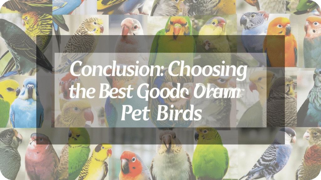 A collage of various colorful pet birds, with an overlay titled "Conclusion: Choosing the Best Pet Birds."
