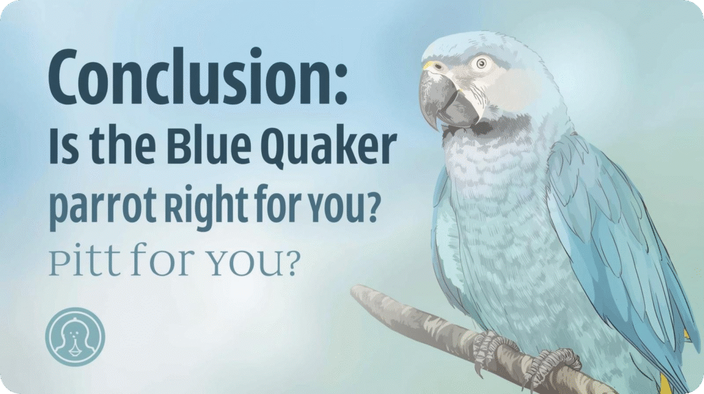 Blue parrot on branch, text "Conclusion: Is the Blue Quaker parrot Right for you? Pitt for YOU?" on blue background.
