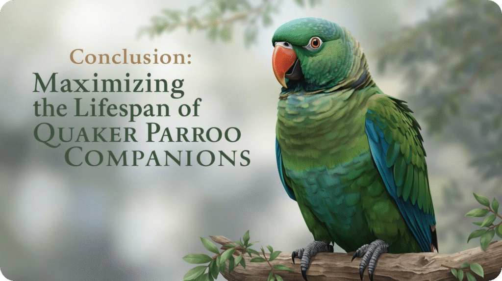 Green parrot on branch, text 'Conclusion: Maximizing the Lifespan of Quaker Parroo Companions'.