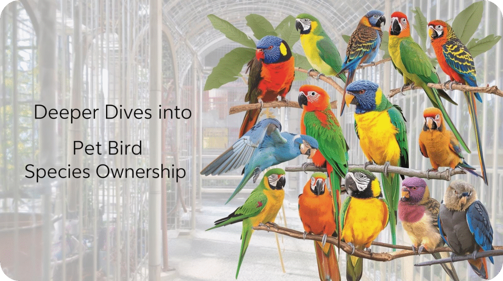 "Deeper Dives into Pet Bird Species Ownership" text beside a flock of colorful parrots on branches.
