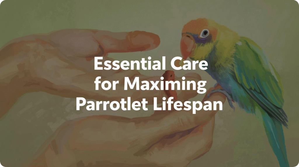 Essential care tips for maximizing the lifespan of parrots, including diet, habitat, and social interaction.