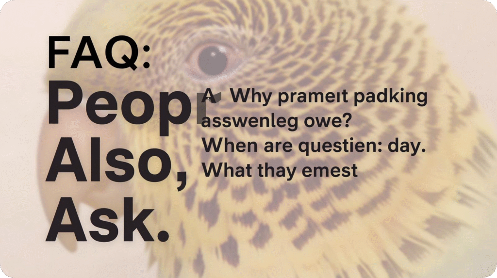 Graphic with text "FAQ: Peop Also, Ask." overlaid on a blurred background of yellow parakeet feathers.