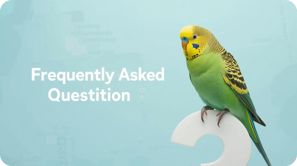 Green and yellow budgie next to "Frequently Asked Questition" text on a light blue background.
