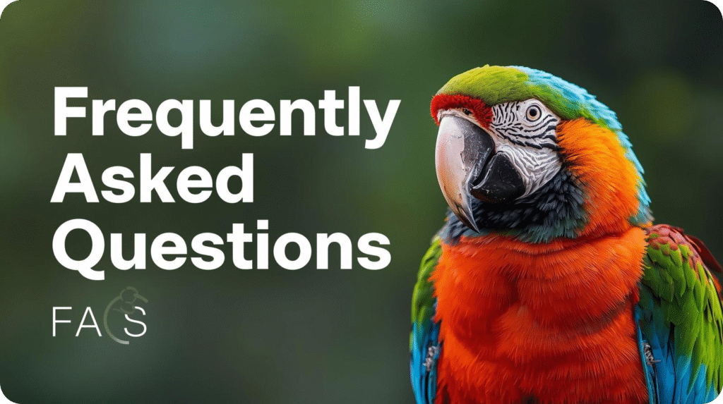 Colorful parrot next to text 'Frequently Asked Questions' on a blurred green background.