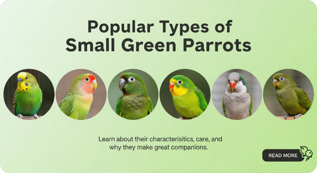 Several small green parrots perched together, showcasing different species, sizes, and feather patterns