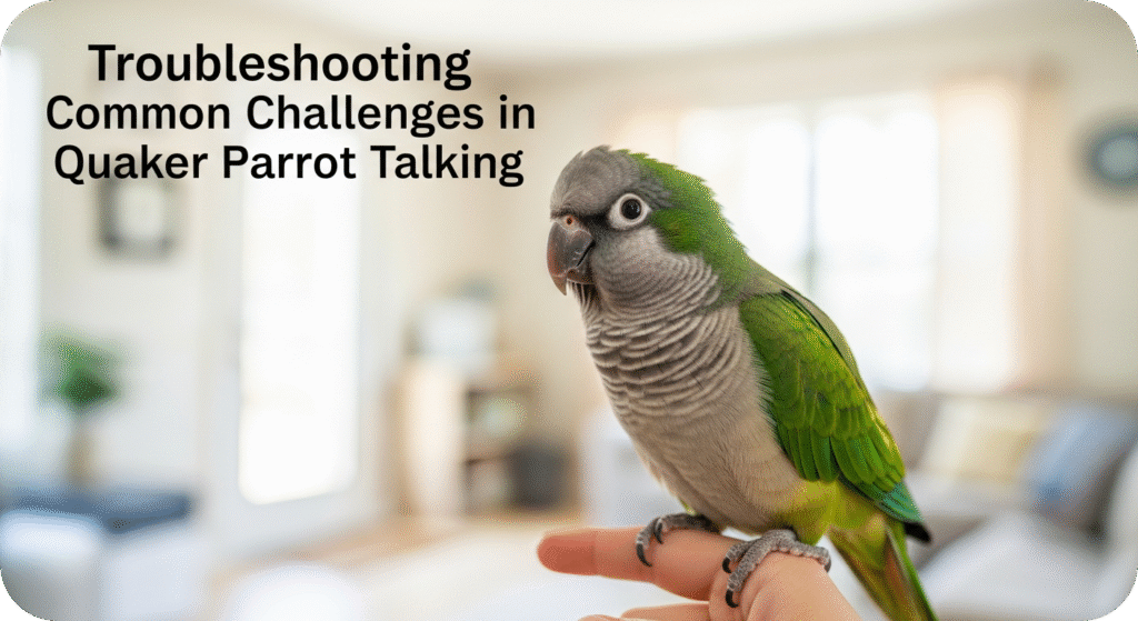 A Quaker parrot with its trainer addressing common talking challenges, such as reluctance to speak or unclear words.