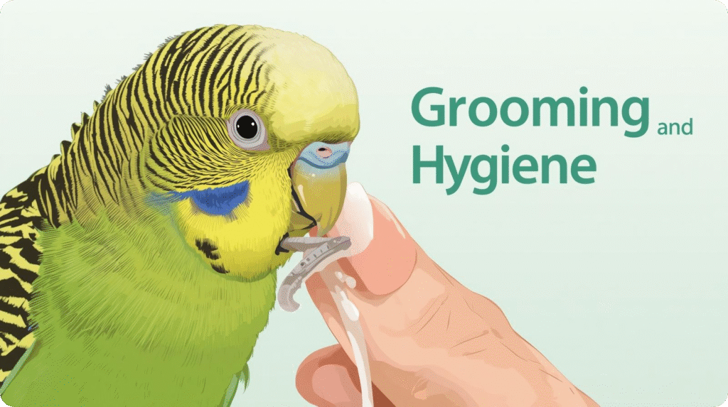 A person gently grooms a colorful parakeet perched on their hand, showcasing a bond between human and bird.