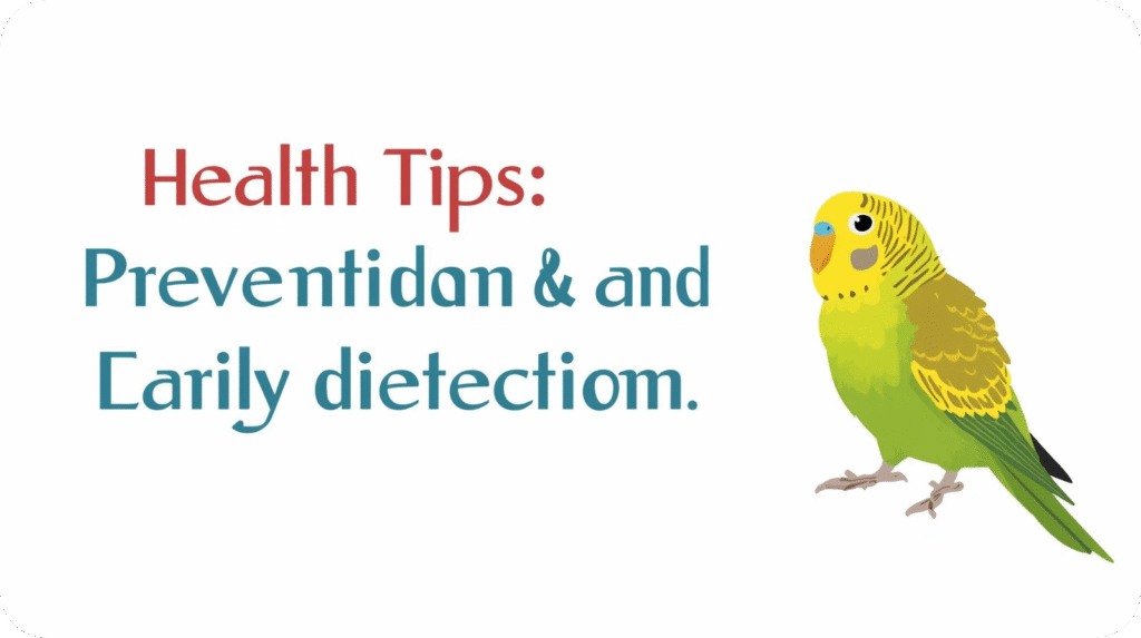 Close-up of a calcium cuttlebone for female parakeet nutrition