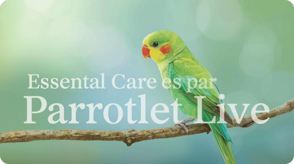 Green parrotlet on a branch with text "Essental Care es par Parrotlet Live".
