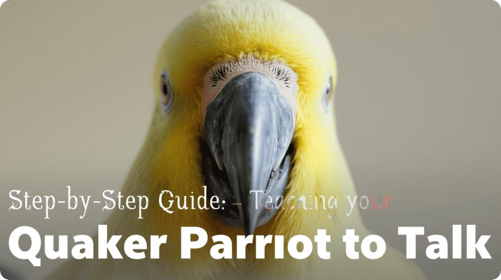 Quaker parrot perched on a branch, looking curiously, with a speech bubble indicating it can talk.