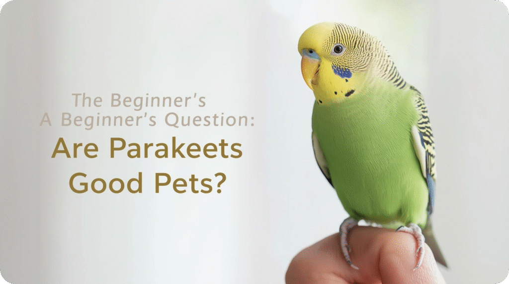 Green parakeet perched on a finger with text asking "Are Parakeets Good Pets?".