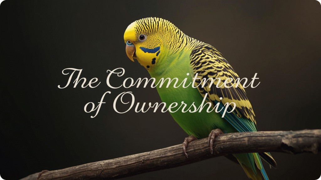 A person holding a key, symbolizing the commitment and responsibility of ownership in a professional setting.