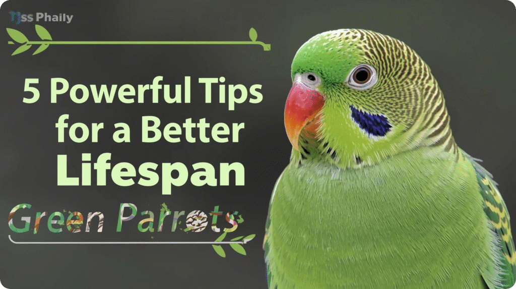 Green parakeet with text overlay: "5 powerful tips for a better life span.