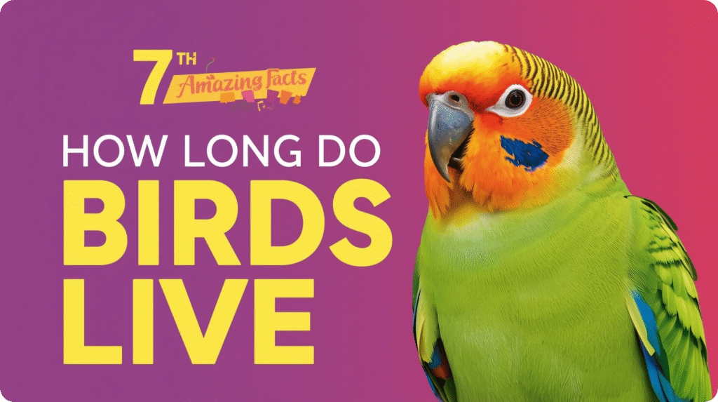 How Long Do Birds Live? A Graphic Showing Average Lifespans of Different Bird Species