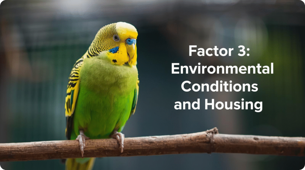 A green parakeet on a branch with the text "Factor 3: Environmental Conditions and Housing" displayed nearby.