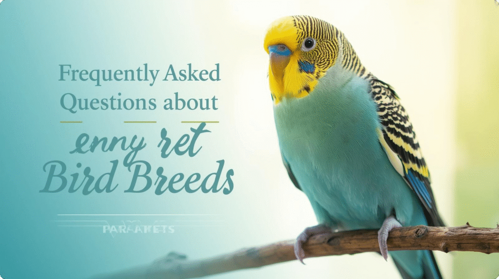 Parakeets, cockatiels, and lovebirds are among the best pet bird breeds for beginners due to their friendly nature, small size, and easy care needs.