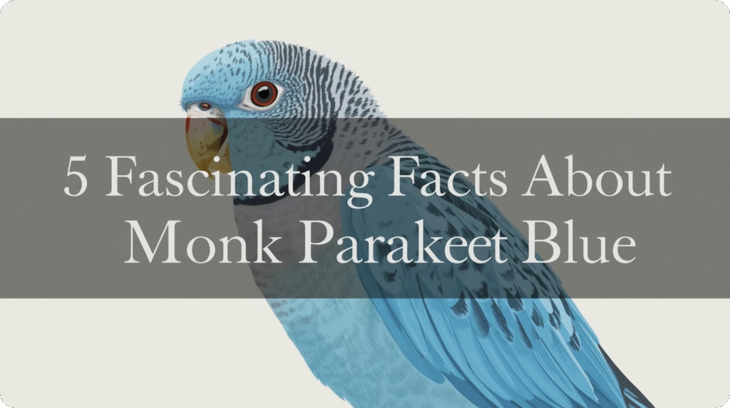 Here are five intriguing facts about the monk parakeet blue, showcasing its intelligence, social nature, vivid color, nesting habits, and urban adaptability.