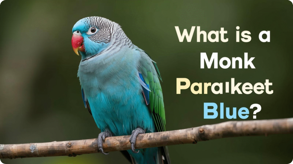 A vibrant monk parakeet blue perched on a tree branch, displaying bright blue feathers with green accents in warm natural sunlight.