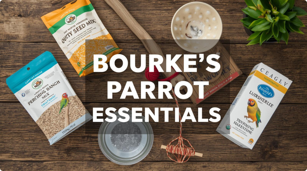 A collection of essential items for caring for Bouke's parrot, including food, toys, and grooming supplies.
